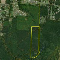 Secluded Timberland Outside Of Nashville images 2
