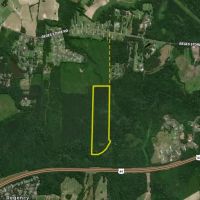 Secluded Timberland Outside Of Nashville images 3