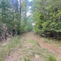 Secluded Timberland Outside Of Nashville images 5