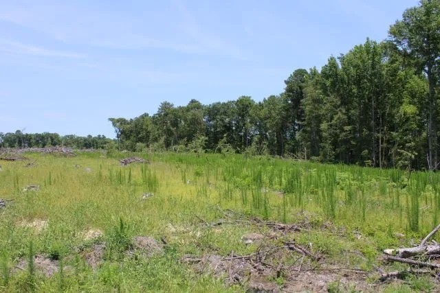 Watson Road - Kemper Tract featured image