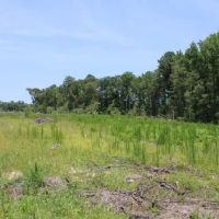 Watson Road - Kemper Tract