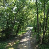 Finding Your Dream Homesite With Stunning Views images 5