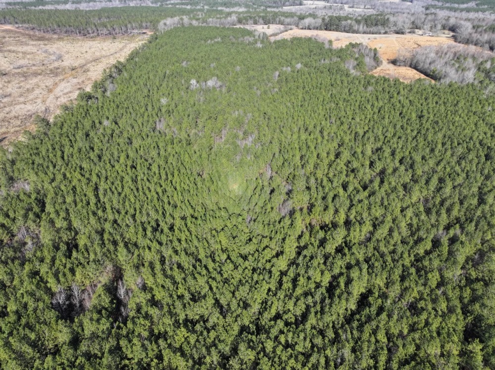 Wooded Lot North Of Castalia featured image