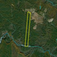 Wooded Lot North Of Castalia images 2