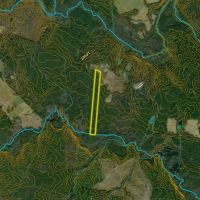 Wooded Lot North Of Castalia images 3