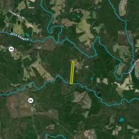Wooded Lot North Of Castalia images 4