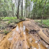 Affordable Hunting Retreat images 3