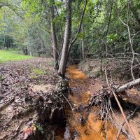 Affordable Hunting Retreat images 5