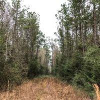 11 Acres A7 FM 2937 images 4