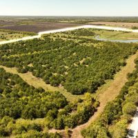 Prime Development Opportunity in Greenville TX images 4
