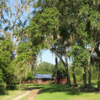 Interlachen Timber and Conservation Tract images 2