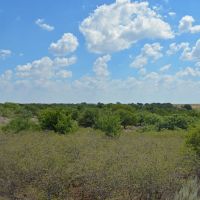 159 Acre Oklahoma Hunting Land and Farm in Grandfield OK images 5