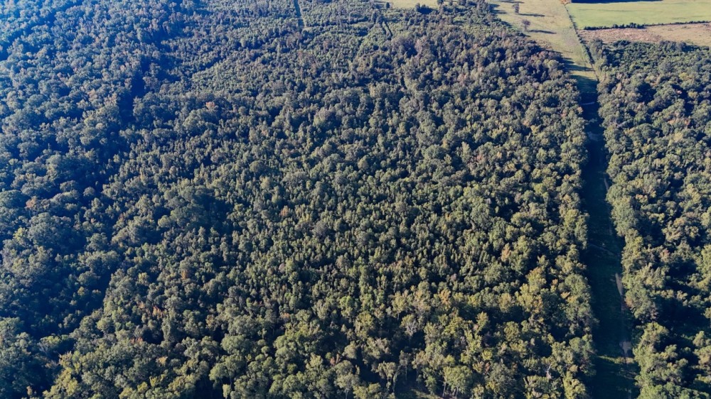 LA - Caldwell 40 acres - featured image