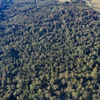 LA - Caldwell 40 acres -