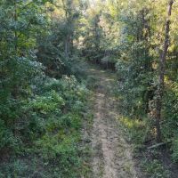 LA - Caldwell 40 acres - images 2