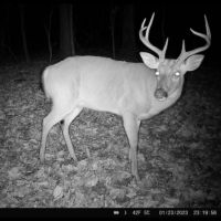 LA - Caldwell 40 acres - images 3