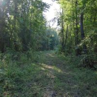 LA - Caldwell 40 acres - images 5