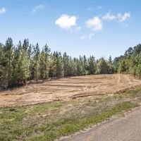 Franklin County Land Adjoining Homochitto National Forest