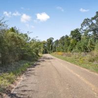 Franklin County Land Adjoining Homochitto National Forest images 3