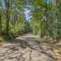 Franklin County Land Adjoining Homochitto National Forest images 4
