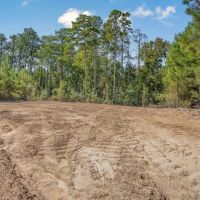 Franklin County Land Adjoining Homochitto National Forest images 5