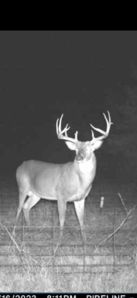 Dynamic Webster Parish Hunting and Recreational Property featured image