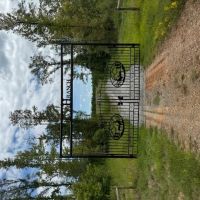 Dynamic Webster Parish Hunting and Recreational Property images 2