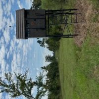 Dynamic Webster Parish Hunting and Recreational Property images 3