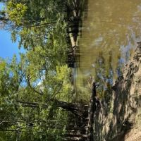 Dynamic Webster Parish Hunting and Recreational Property images 4