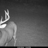 Hunting Land with Trout Stream for Sale in Iowa County Wisconsin