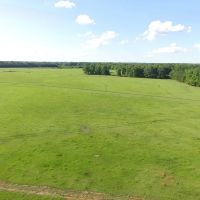 Grant County AR Farm Cattle Ranch with Home For Sale images 4