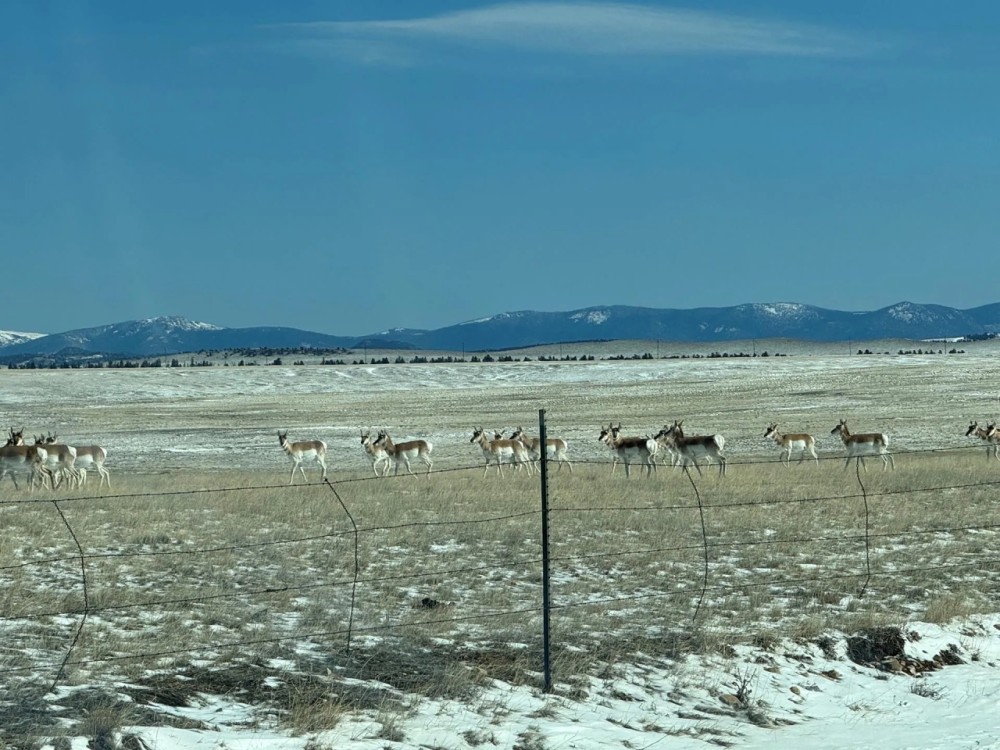 Elk Valley Ranch featured image