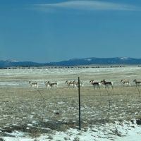 Elk Valley Ranch
