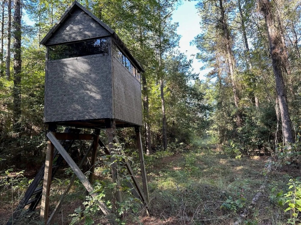 Hunting and Timberland Tract for sale in North Louisiana featured image