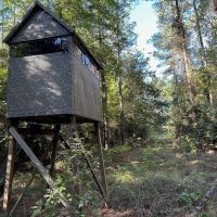 Hunting and Timberland Tract for sale in North Louisiana
