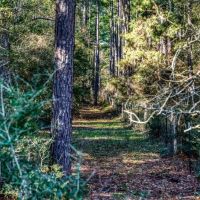 000 FM 362 images 2