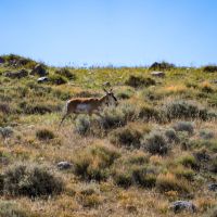 Little Windy Ranch images 4