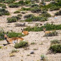 Little Windy Ranch images 5