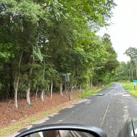 40 Acres Jackson Chapel Road images 2
