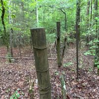 40 Acres Jackson Chapel Road images 3