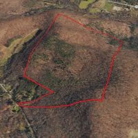 183 acres Hunting Land and Recreational Land with Timber in Cuba NY Wolf Creek Rd images 3