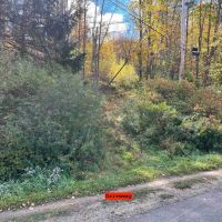 183 acres Hunting Land and Recreational Land with Timber in Cuba NY Wolf Creek Rd images 4