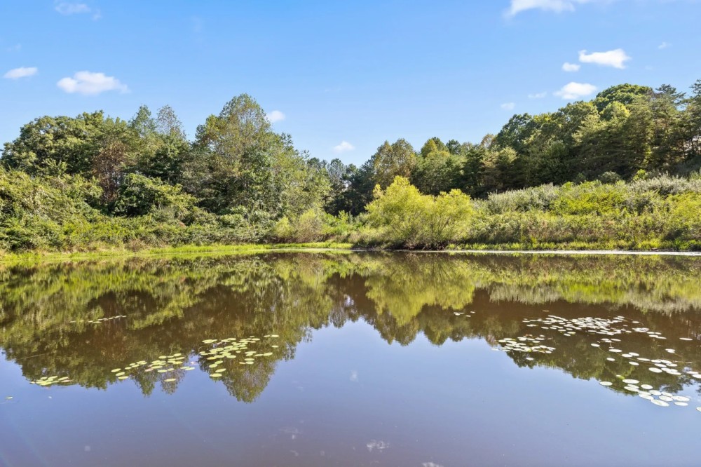 POND ON 23 - UNRESTRICTED ACRES featured image