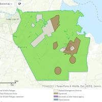 Deer Hunting, 8,493 acres Caddo Lake NWR in Harrison, TX images 4