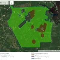 Deer Hunting, 8,493 acres Caddo Lake NWR in Harrison, TX images 1