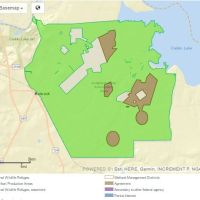 Deer Hunting, 8,493 acres Caddo Lake NWR in Harrison, TX images 5