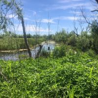 Willow Lakes images 2