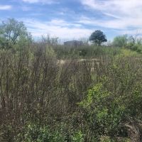 Willow Lakes images 4