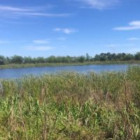 Willow Lakes images 5