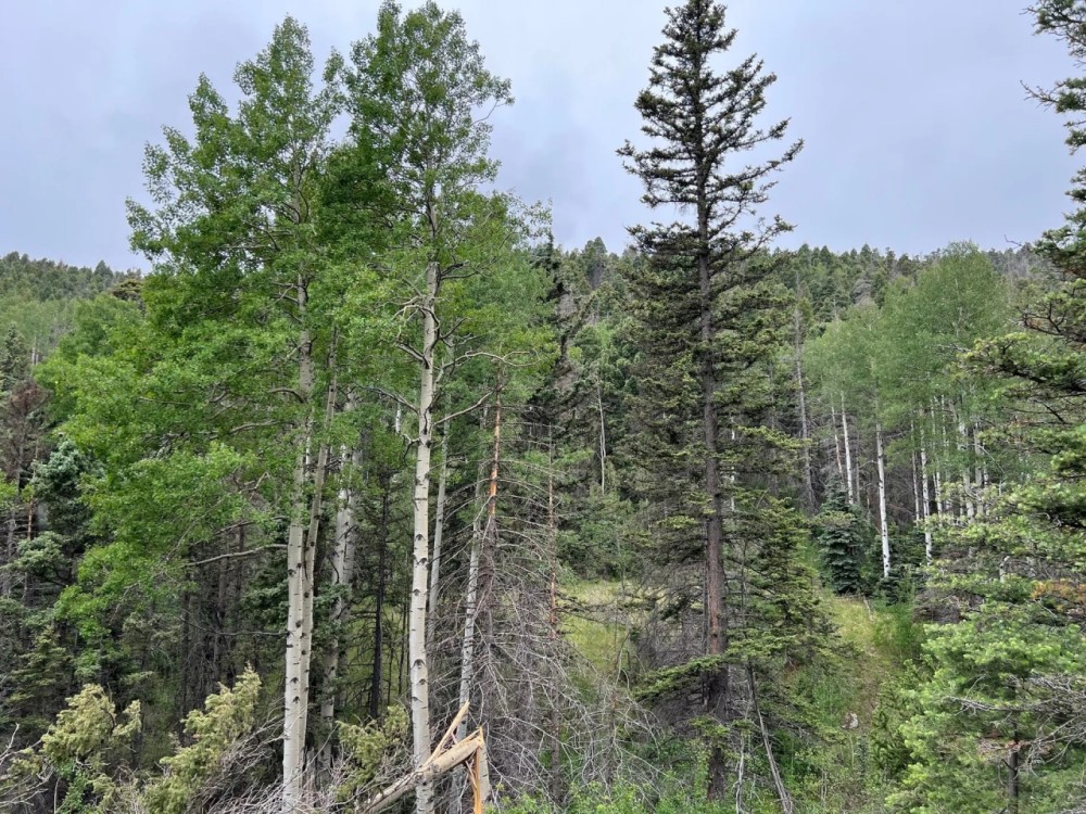 Tract 27 Spanish Peaks Ranch Estates Aguilar CO 81020 featured image